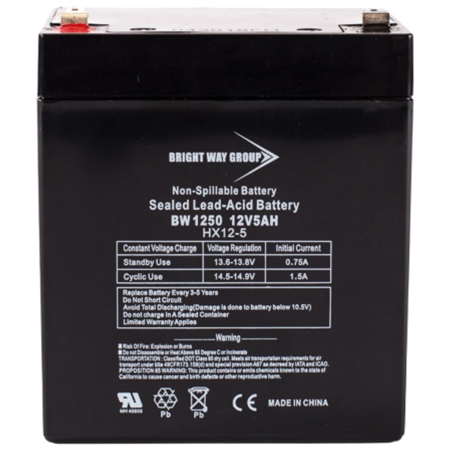 Bright Way Group BW1250-F1, BW 1250 (0124), BWG 1250 T1 Battery, 12V 5Ah