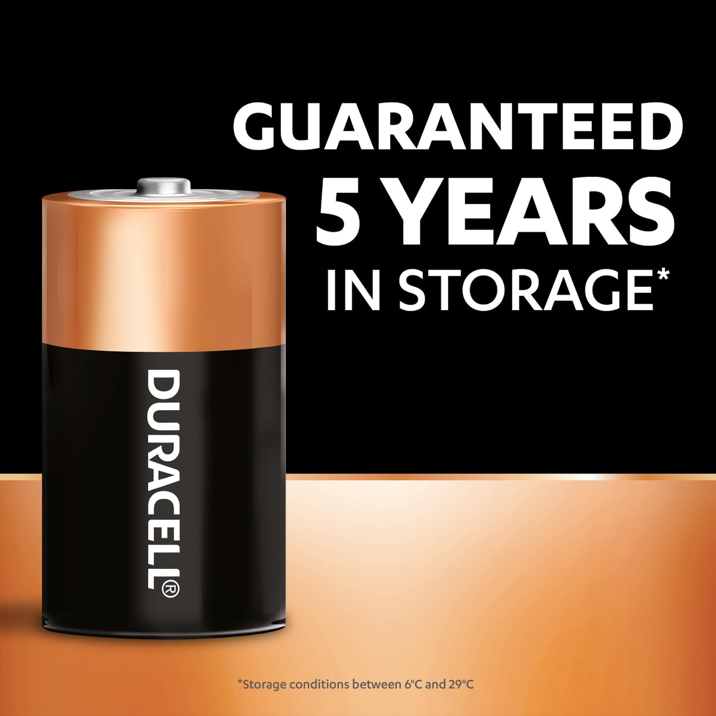 Duracell Alkaline D Batteries 2 Count