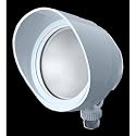 RAB Lighting BULLET12YW LED Bullet Flood, 12W, 800 lm, 3000 K (Warm), White Finish