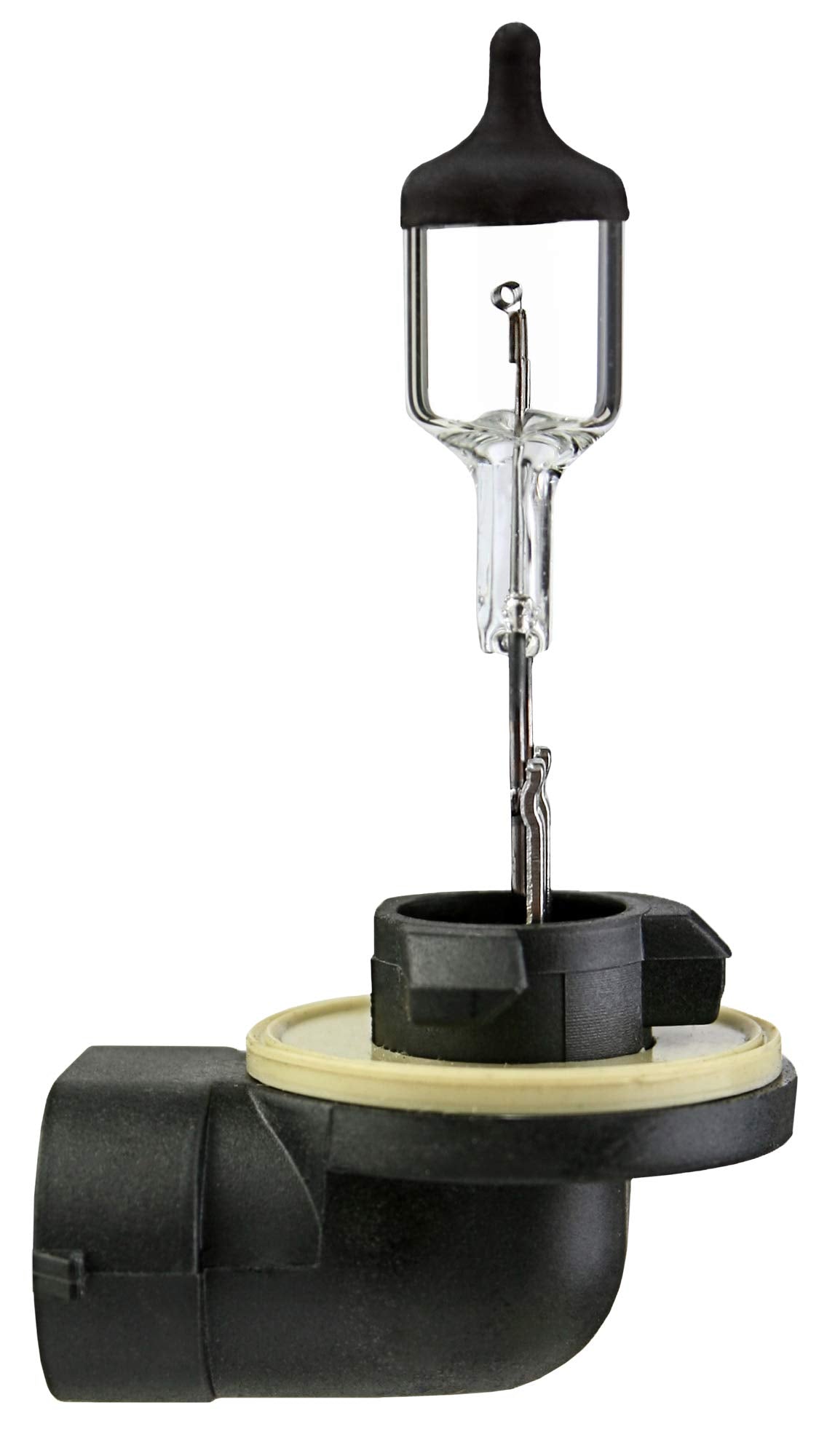 Halogen Bulb