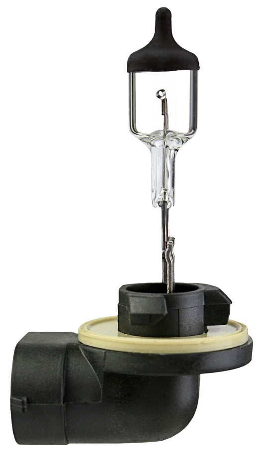 Halogen Bulb