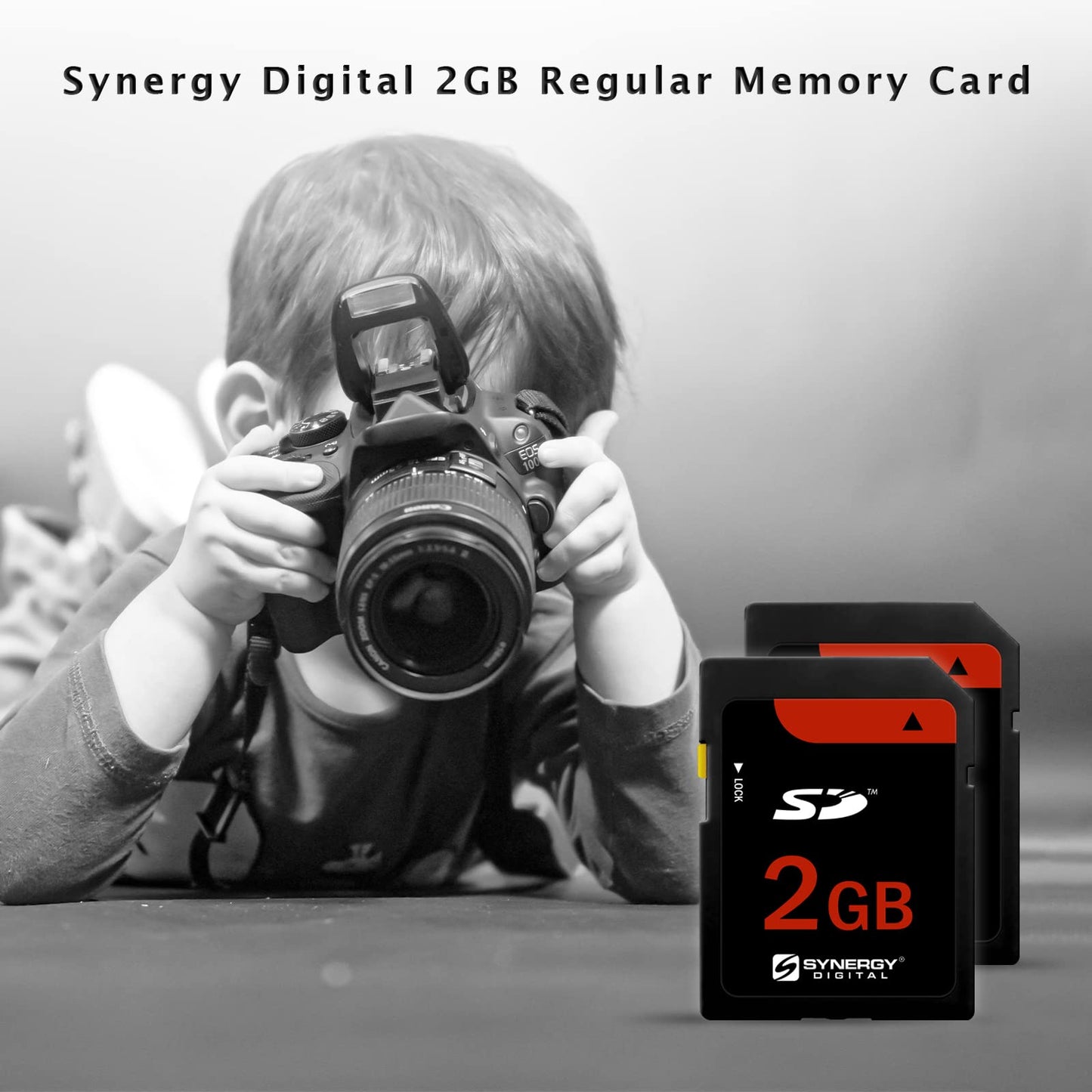 Casio Exilim EX-S600 Digital Camera Memory Card 2GB Standard Secure Digital (SD) Memory Card