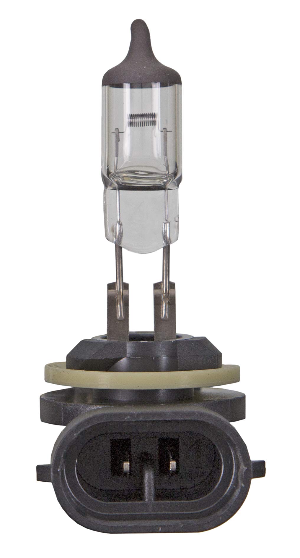 Wagner Lighting BP898 Standard Multi-Purpose Light Bulb Card of 1