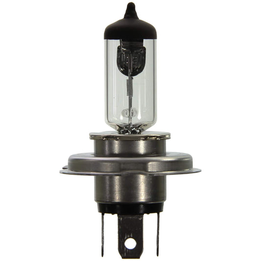 Wagner Lighting BP1213/H4 Multi-Purpose Light Bulb Card of 1