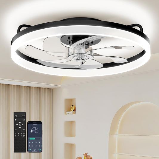 20 Inch Ceiling Fan Light with Lights and Remote, Easy Install Ceiling Fans