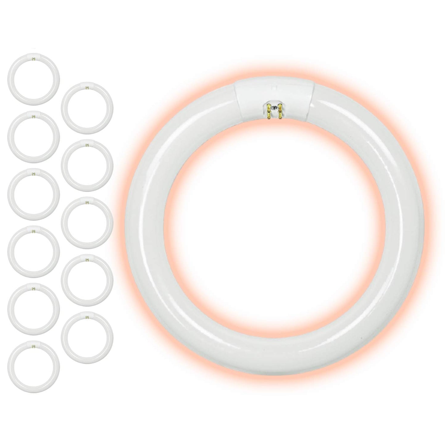 GoodBulb 22 Watt 8 Inch T9 Fluorescent Circline Light Bulb 3000K Soft White Light Color G10q Base High Output 1393 Lumens 22W 10000 Life Hours 80 CRI