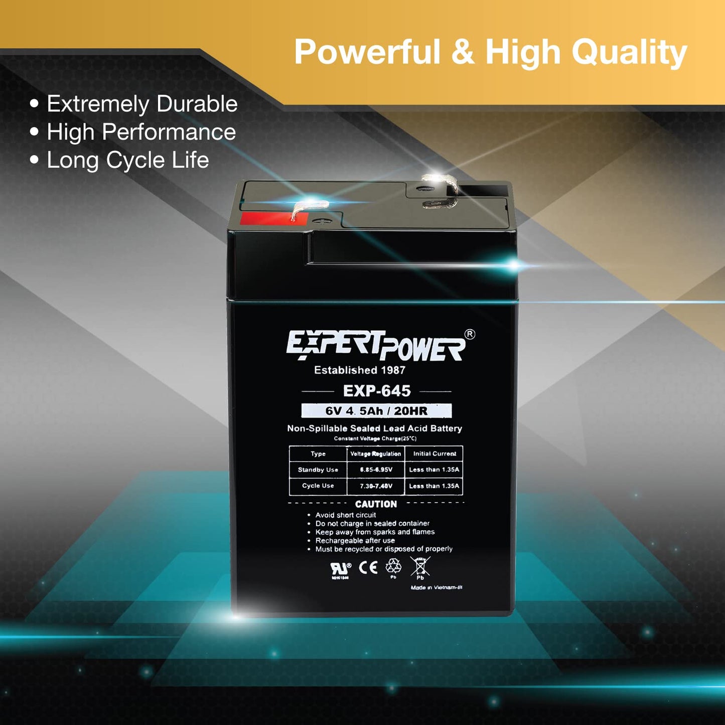 ExpertPower 6 Volt 4.5 Amp Rechargeable Battery (EXP645) 2 Pack