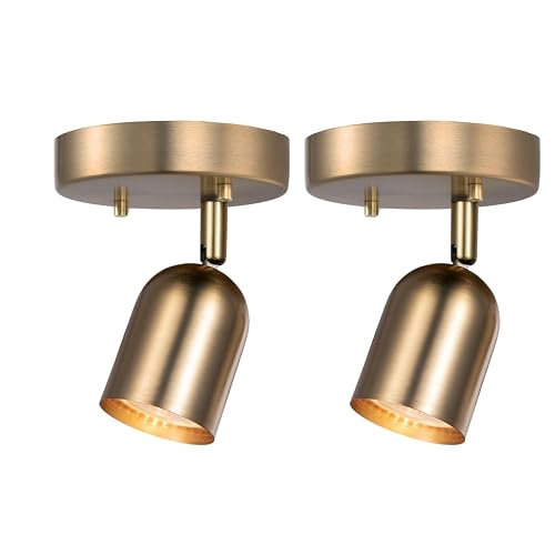 CRAFTRONOS 2 Pack 1 Light Track Lighting Modern Ceiling Spotlight Indoor with Matte Brass, Multi-Directional Adjustable Wall Mount Spot Lights