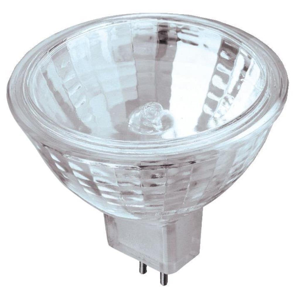 Westinghouse Lighting 04781 20-watt Halogen Flood Light/Lens