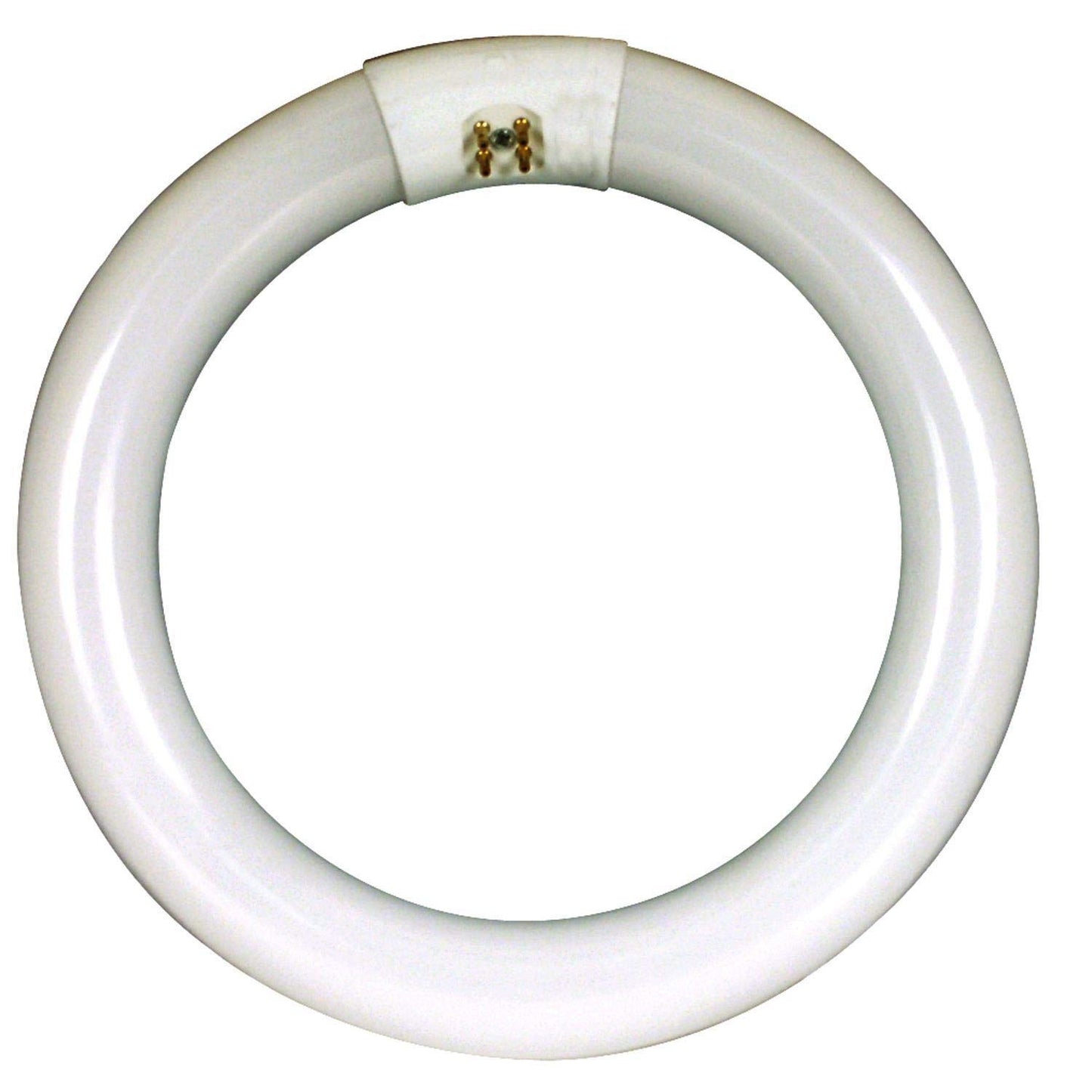 Circle White Fluorescent, 32 Watt