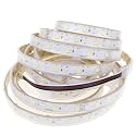 LEDENET 5050 SMD RGB+Cold White LED Strip Lights 6000K-6500K Daylight Bright LED Tape Light DC 24V 360LEDs 16.4ft Outdoor Waterproof IP67 for Wedding