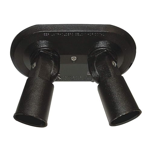 Lampholder, Double, BlkPAR38, 2-150W