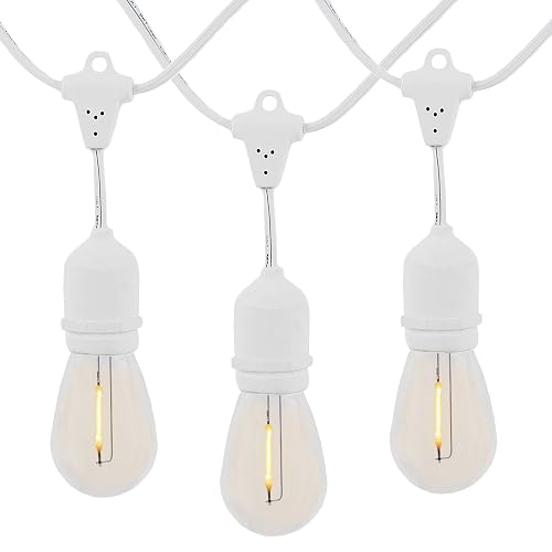 Novelty Lights 48 Feet Warm White, 2200K LED String Lights Outdoor with 24 Edison Style Bulbs, Suspended Sockets, White Wire, Shatterproof