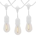 Novelty Lights 48 Feet Warm White, 2200K LED String Lights Outdoor with 24 Edison Style Bulbs, Suspended Sockets, White Wire, Shatterproof