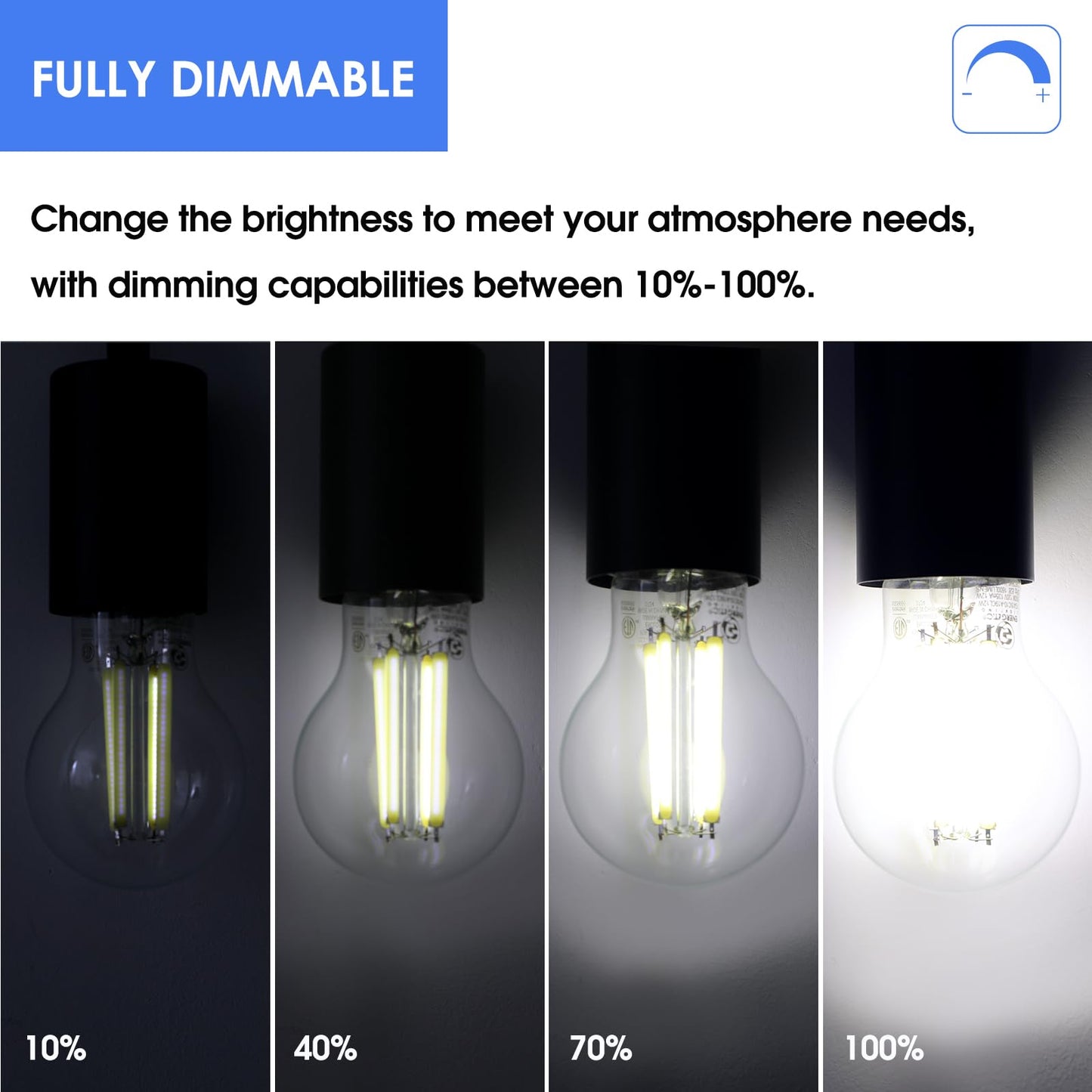 Energetic Dimmable A19 LED Edison Light Bulb, 12W Equivalent 100W, 1600LM High Brightness, 5000K Daylight, Clear Antique LED Filament Bulb for Home