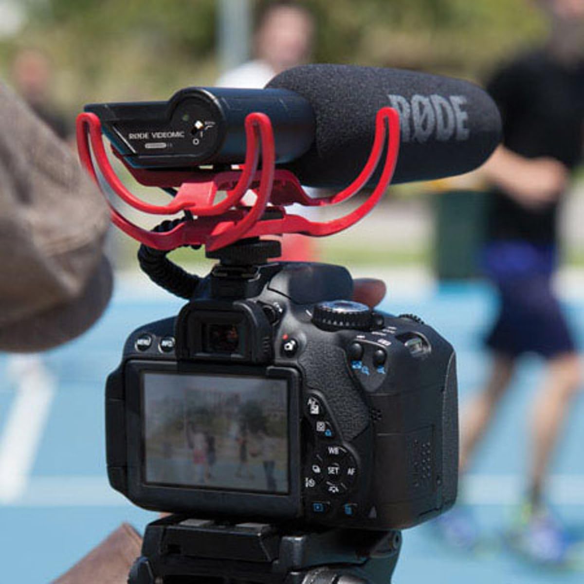 Rode WSVM Pop Filter/Wind Shield for VideoMic, NTG1, and NTG2 Microphones