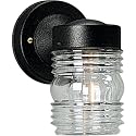 Progress Lighting 1-Light Clear Glass Traditional Outdoor Wall Lantern Light Textured Black