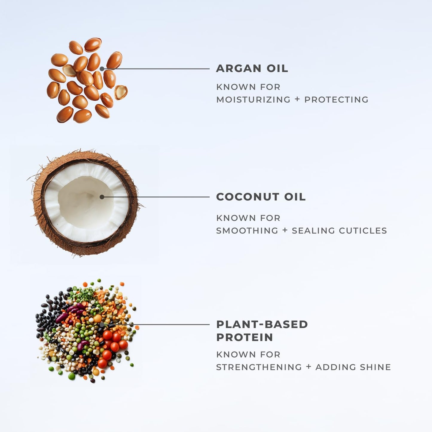 XMONDO Hair Wavetech Hydrating Wave Cream – Vegan Curl Cream for Wavy Hair with Coconut & Argan Oil, Definition, Hydration & Breakage Protection, 5 fl oz