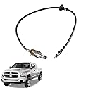 Unikpas Antenna Cable Compatible for 2002-2010 Dodge Ram 1500 2500 3500 Replacement Antenna Assembly 56043089AF