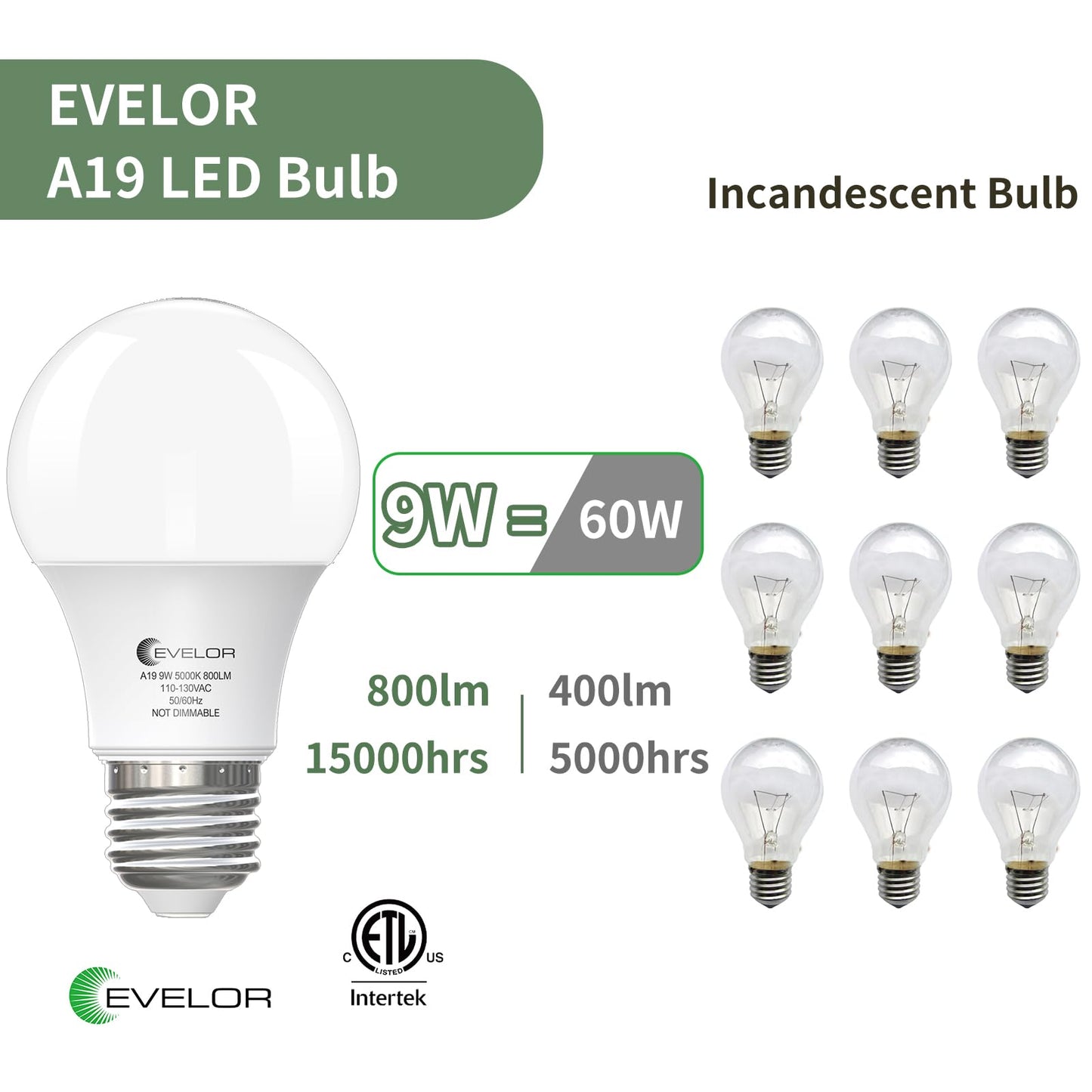 evelor 6-Pack A19 LED Light Bulbs,60 Watt Equivalent,Daylight 5000K