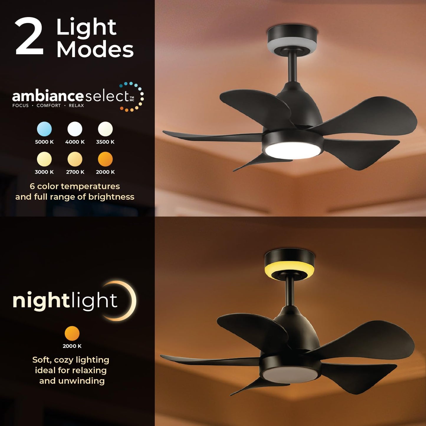 Globe Electric 37000106 30" Ceiling Fan with LED Light, Nightlight, Remote Control, WhisperQuiet DC Motor, 6 Speeds, Matte Black