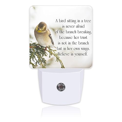 Uiaoiais Plug in Night Lights Inspirational Quote on Life Nightlight Plug Into Wall Dusk to Dawn Sensor LED Night Light for Kid Girls Boys Women Room