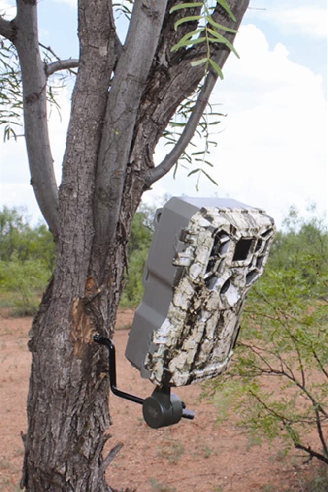 HME Products Economy Trail Camera Holder Bundle (4 Items) Hunting Made Easy (HME)