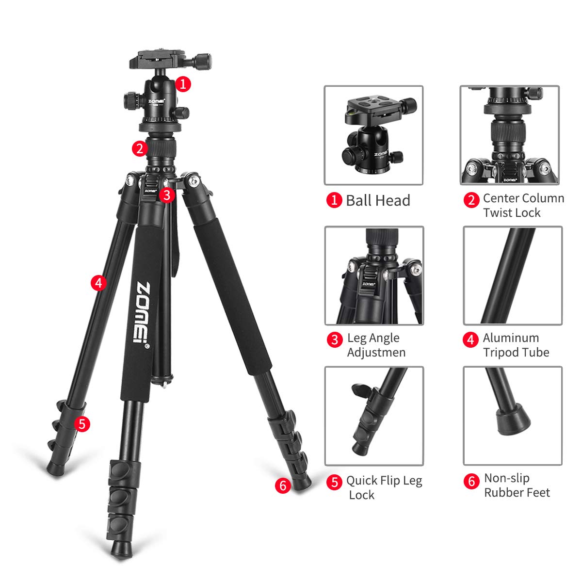 Zomei Q555 62.5'' Camera Tripod,Lightweight and Compact Aluminum Portable Travel Tripod with 360 Degree Ball Head for Vlog Nikon Canon Sony All DSLR