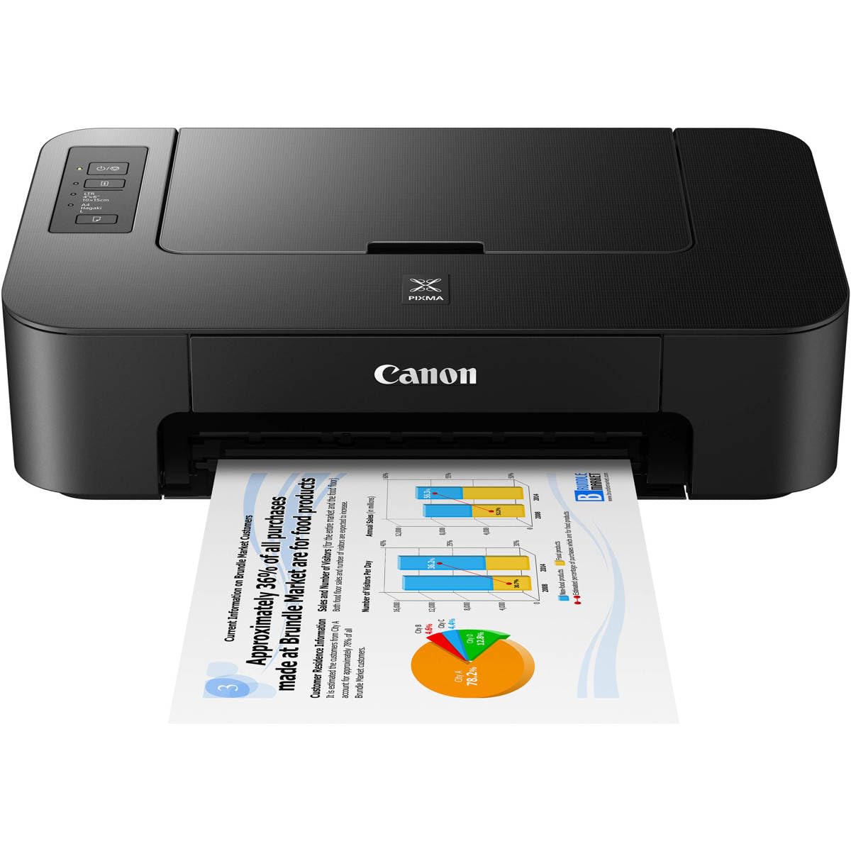 Canon PIXMA TS202 Inkjet Printer with PG-243 Black, CL-244 Color Ink Cartridges