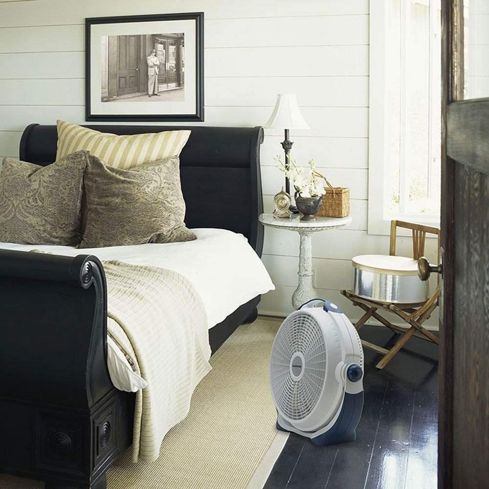 Lasko Wind Machine 3300 20 Inch 3 Speed Cooling Pivoting Head Floor Fan (2 Pack)