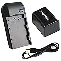 CofunKool NP-FV5 Plus Battery Charger, Digital Video Camera Camcorder Travel Charger and 3.7V 2000mAh NP-FV5 Plus Rechargeable Lithium Battery