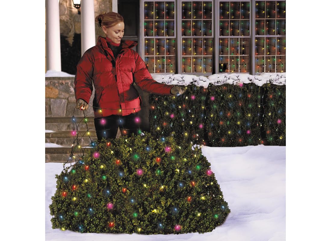 Celebration 150 Indoor/Outdoor Net-Style Lights, Multi-Color