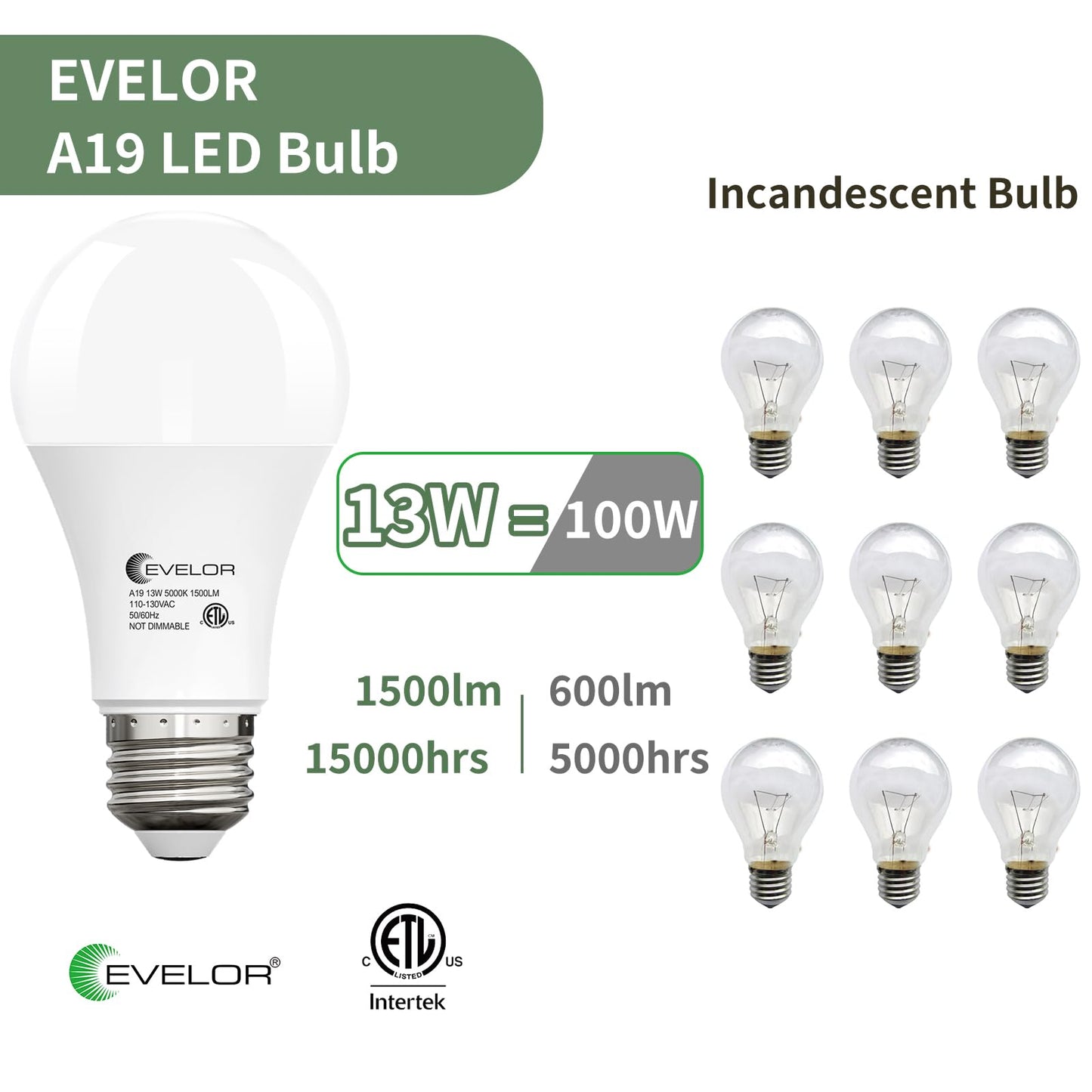 evelor A19 LED Light Bulbs,100 Watt Equivalent,Daylight 5000K,24-Packs