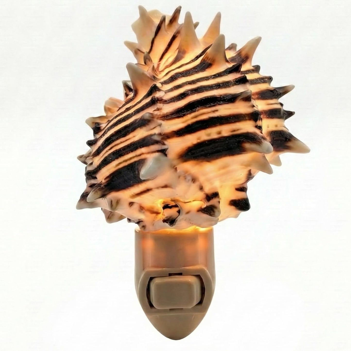 Seashell Night Light - Black Murex Nautical NightLight - Shell Light for Bathroom - Sea Shell Lamp - Seashell Lamp Plug Into Wall
