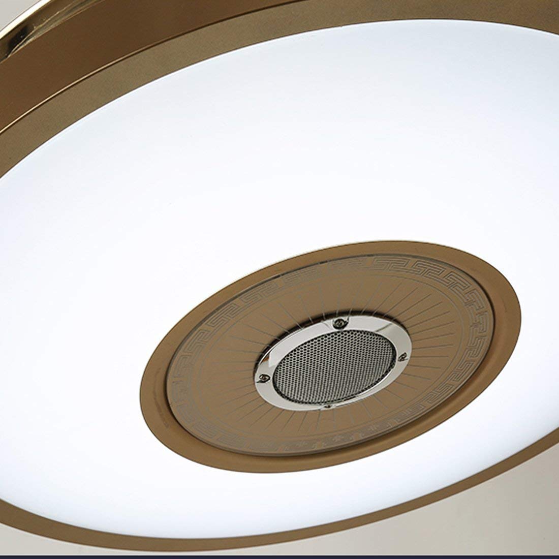 Saffbie 42 Inch Smart Ceiling Fan with Bluetooth Speaker