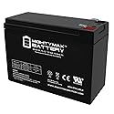 ML10-12 - 12 Volt 10 AH, F2 Terminal, Rechargeable SLA AGM Battery
