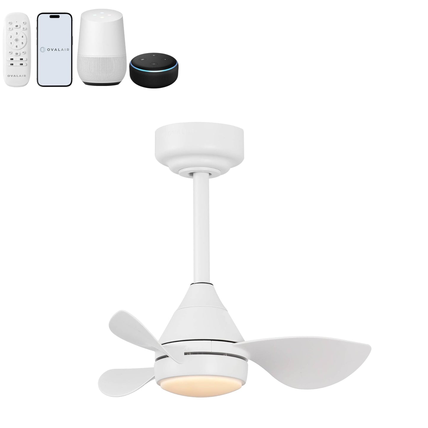 OVAL AIR AIR8000B Albini 22" Contemporary Minimalist 6-Speed Metal Mobile-App/Remote-Controlled Dimmable Smart Integrated LED Ceiling Fan for Living