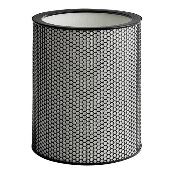 972132-01 H13 Grade Glass Big HEPA Filter Compatible for Dyson Purifier BP03 and BP04 (Big), Airborne Wildfire, Smoke, Pollen, Pet Dander, and Dust