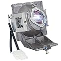 iQubay A+ Quality RLC-117 for Viewsonic PG705HD PG705WU PX727-4K PX747-4K Replacement Projector Lamp Bulb with Housing