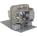 Huaute SPLAMP098 / 5811120589-S Projector Lamp with Housing for INFOCUS IN3144 IN3146 IN3148HD for Vivitek 5811120589-SVV DH833 DH83CUA DW832 DW932