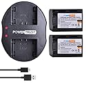PowerTrust 2Pack NP-FH70 Battery + Dual USB Charger for Sony NP-FH50 NP-FH40 NP-FH30 NP-FH70 NP-FH100 A230 A330 A290 A380 DVD650 HC20 Batteries