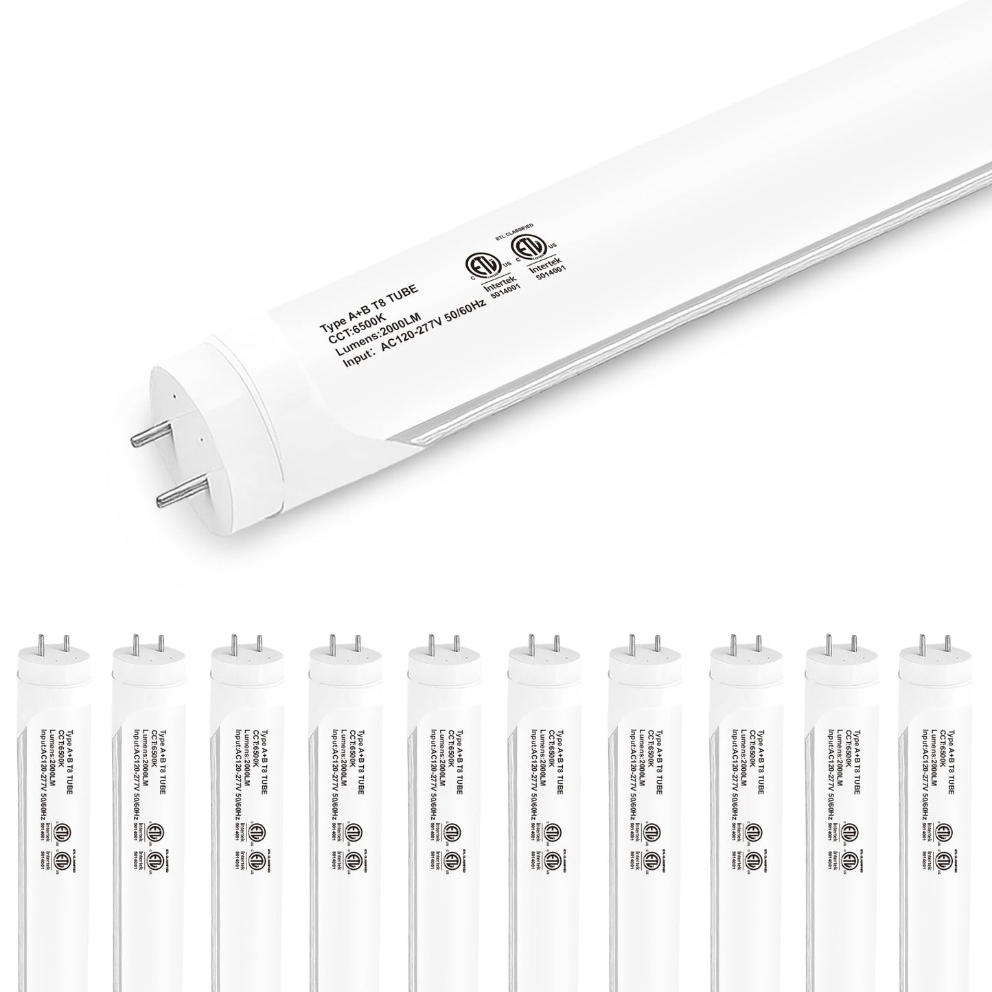 Madewell Living 10-Pack T8 LED Tube Lights 4ft, 48 Inch Fluorescent Replacement Bulbs 2000 Lumens, 6500K Daylight White Light, Hybrid Type A+B