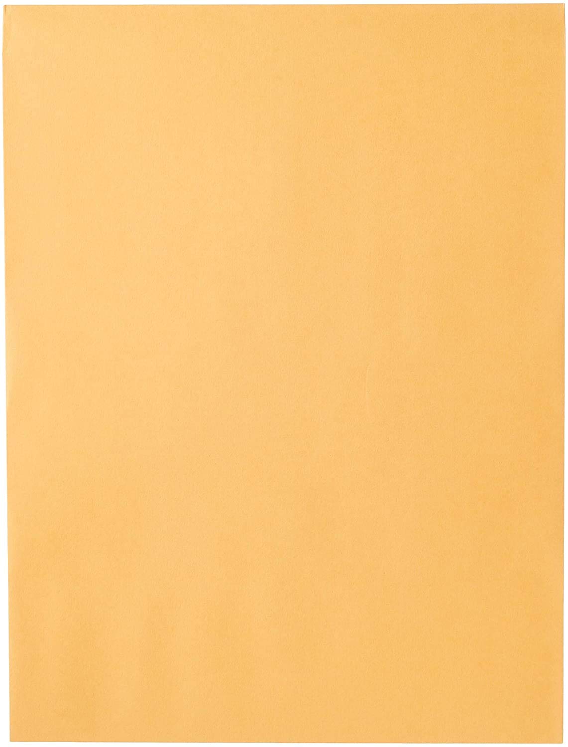 Mead Envelopes, 9" x 12", Clasp Closure, Brown Kraft All-Purpose 24-lb Paper Mailing Envelopes, 20 Count (76020)