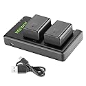 NEEWER Replacement Battery and Charger Set for VW-VBT190, 2 Pack 1950 mAh Batteries and Dual USB Charger, Compatible with Panasonic HC-V110 V130 V160