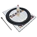 Springfield Speaker Foam Surround Edge Repair Kit - 1 Speaker Kit - 10 Inch - Compatible with Rockford Fosgate: XLC RFP2410, RFP-2810, Punch RFP1410