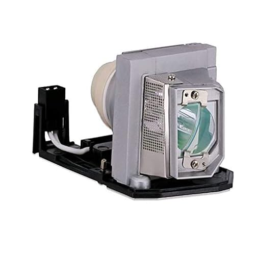 Rembam BL-FP230D Premium Quality Replacement Projector Lamp with Housing for HD20 HD200X TX612 TX615 EX612 EX615 HD2200 EH1020 HD180 DH1010 Projectors
