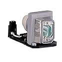 Rembam BL-FP230D Premium Quality Replacement Projector Lamp with Housing for HD20 HD200X TX612 TX615 EX612 EX615 HD2200 EH1020 HD180 DH1010 Projectors