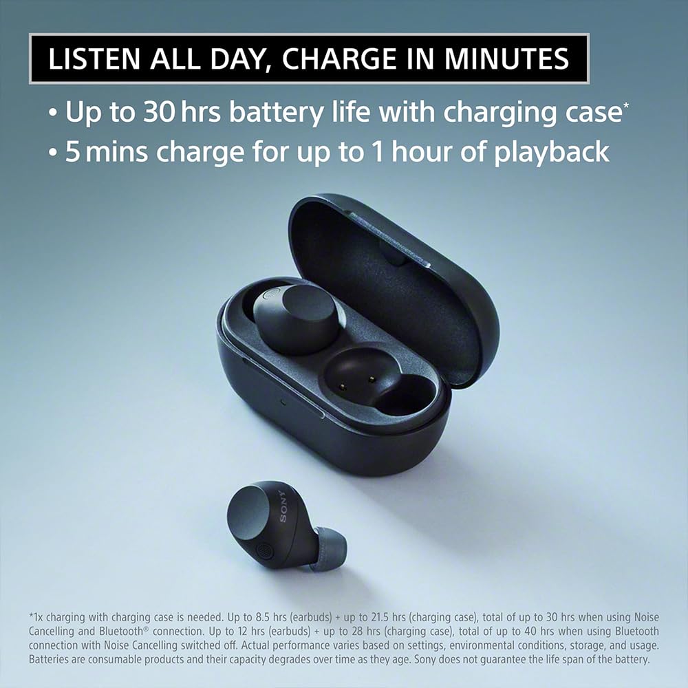 Sony WF-C710NB Truly Wireless Noise Canceling Earbuds Black Bundle with Deco Essentials Converter Adapter Type C Adapter, Type-C USB C Female…