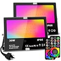 MELPO 30W Led Flood Light Outdoor 300W Equivalent, Color Changing RGB Lights with Remote, 120 RGB Colors, Warm White 2700K, Timing, Custom Mode