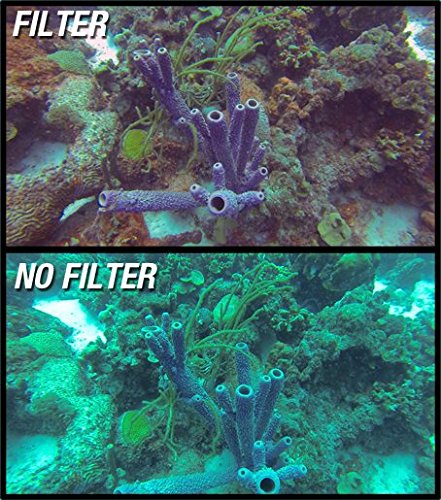 GoScope (60M) Red Filter - Compatible with GOPRO HERO4 / HERO3+ / HERO3 Dive HOUSING (60M Case Only) Laser Cut Optical Red Filter (See Pictures